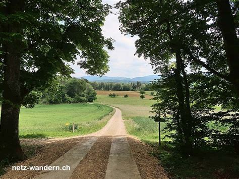 Wanderung Von Aesch Via Gempen Nach Liestal