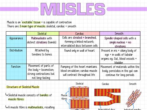 Ccea A Level Biology Notes Teaching Resources