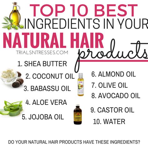 10 Best Ingredients In Natural Hair Products Natural Hair Styles Natural Hair Ingredients