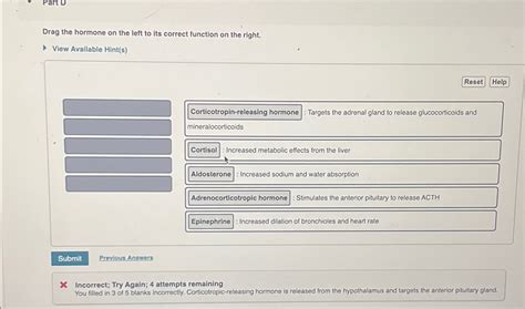 Solved Drag The Hormone On The Left To Its Correct Function Chegg