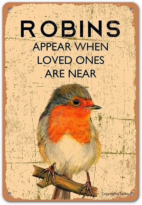 Robins Appear When Loved Ones Are Near Retro Look Metal X Cm