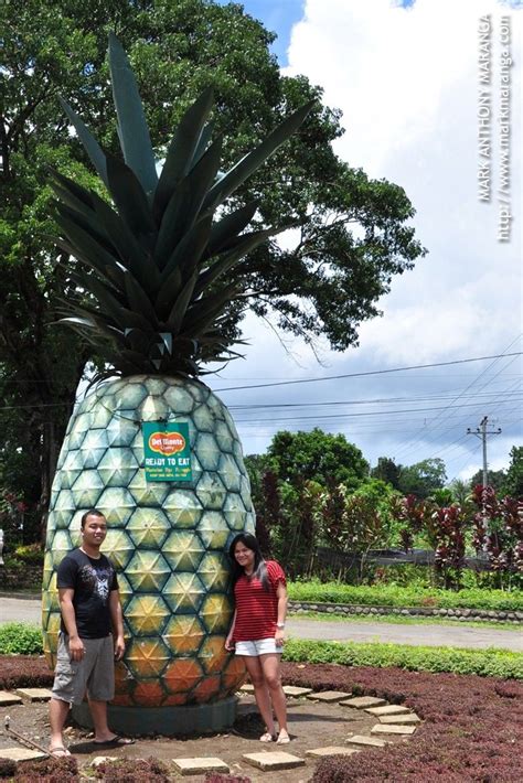 Camp Phillips Del Monte Pineapple Plantation In Bukidnon Philippines