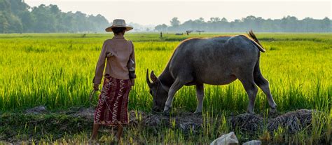 Cambodia Culture & Heritage | Travel Guide & Custom Tours | Enchanting Travels