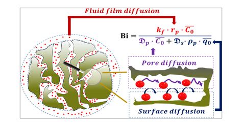 Liquid Solid Mass Transfer In Adsorption Systems—an Overlooked Resistance Industrial