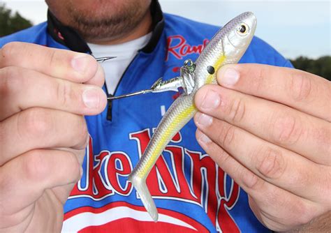 How To Use A Swimbait For Bass At Davidjmartinezo Blog