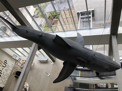 Bruce the shark drops jaws at the Academy Museum — The Daily Jaws