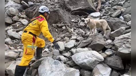 搜救犬roger找到罹難胡姓女子 特搜隊徒手將遺體帶出砂卡礑｜四季線上4gtv