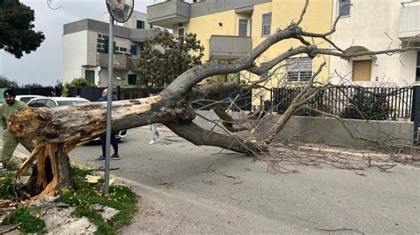 Allarme Vento In Puglia Raffiche Fino A Chilometri Orari Quattro