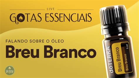 LIVE 40 GOTAS ESSENCIAIS FALANDO SOBRE BREU BRANCO YouTube