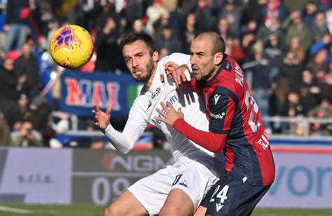 Fiorentina vs Bologna Preview, Tips and Odds - Sportingpedia - Latest Sports News From All Over ...