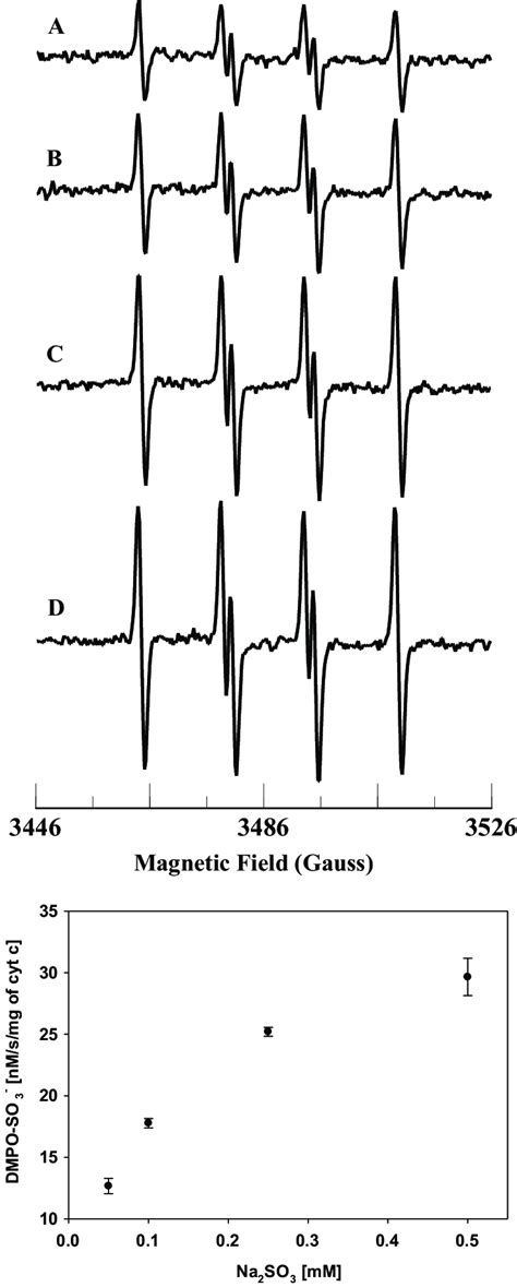 Room Temperature EPR Spectra Of The Sulfite Radical Adduct Of DMPO