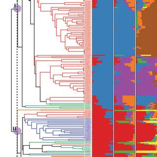 Population Genetic Structure Of The 179 Lettuce Germplasm Lines Based