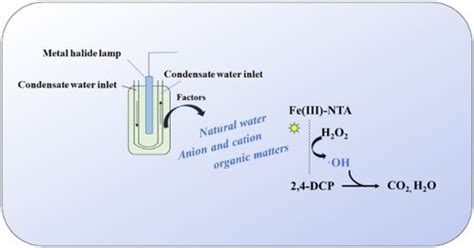 Degradation Of 24 Dichlorophenol By Nitrilotriacetic Acid Modified