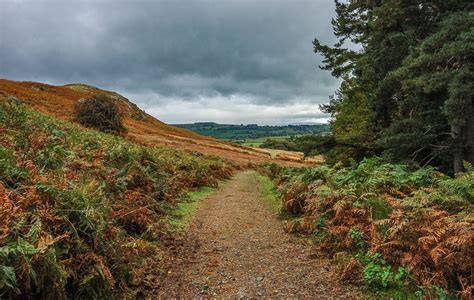 Walking Haweswater Reservoir | Walks Haweswater Reservoir | Lake ...