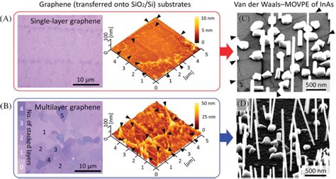 Inas Nanowires Grown On Cvdgrown Graphene Substrates Optical