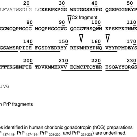 Human Prion Protein Prp Sequence Mature Form In Bold Tryptic
