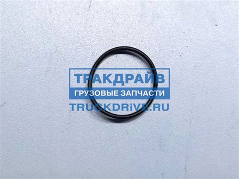 Уплотнительное кольцо топливного насоса Iveco Volvo Renault 101631 LEMA ...