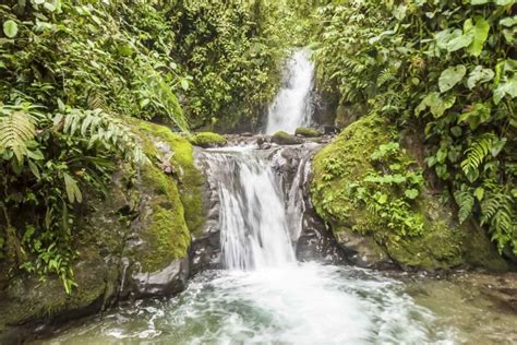 Quito Private Mindo Cloud Forest Tour With Cable Car Ride GetYourGuide