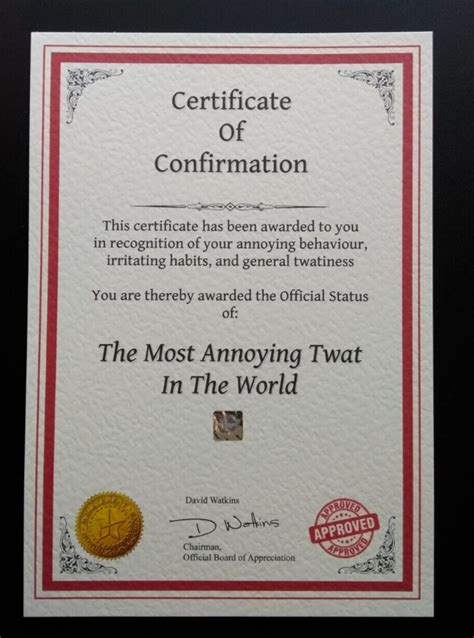 Most Annoying Twat In The World Certificate Confirmation Award Rude