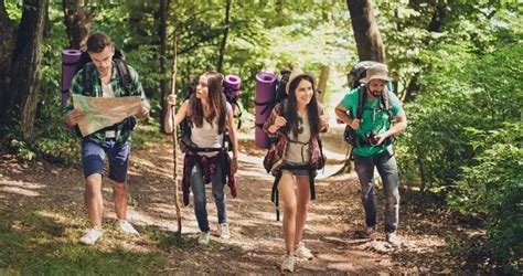 prepare  forest trekking   friends