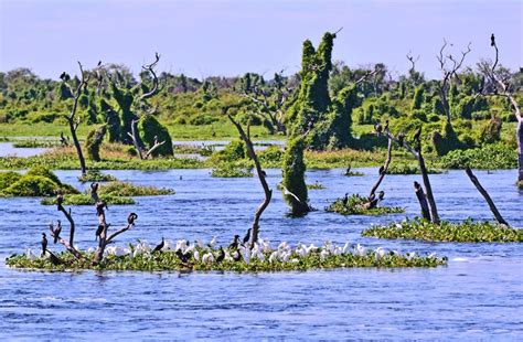 10 Lugares En Argentina Que No Sabes Que Existen Blog Denomades Información Y Guía De Viajes