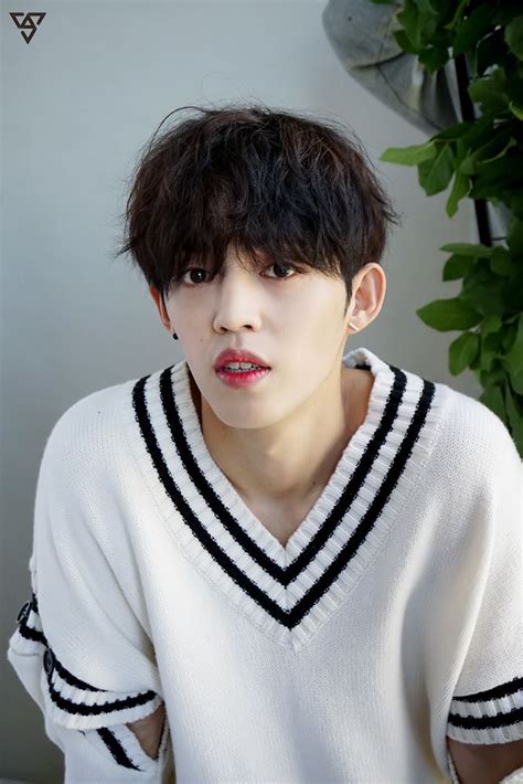 Pin By Lily🌺 On 95 Scoups Scoups Seventeen Scoups Seventeen