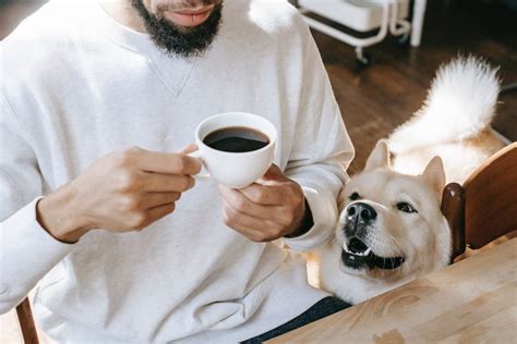 Entdecken Sie Den Besten Filterkaffee Welcher Kaffee Ist Der Richtige