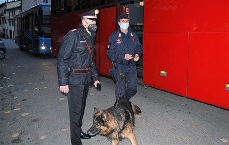 Controlli Antidroga In Autobus E Scuole Cani Fiutano La Roba Nei