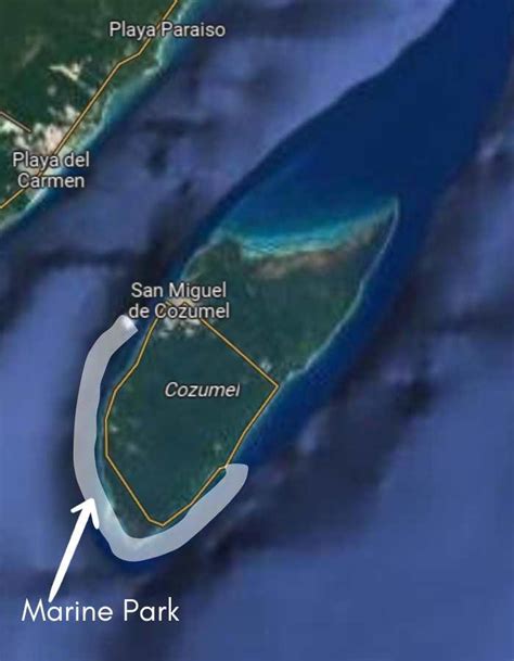 Locals Guide To The Cozumel National Marine Park 2024