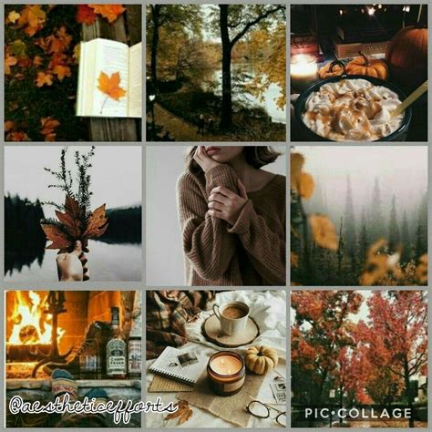 Autumn Autumn Core Aesthetic Seasons