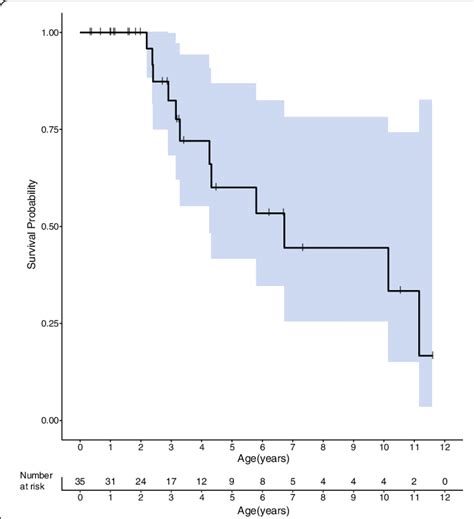 Kaplan Meier Curve Of Overall Survival The Blue Shaded Area Represents