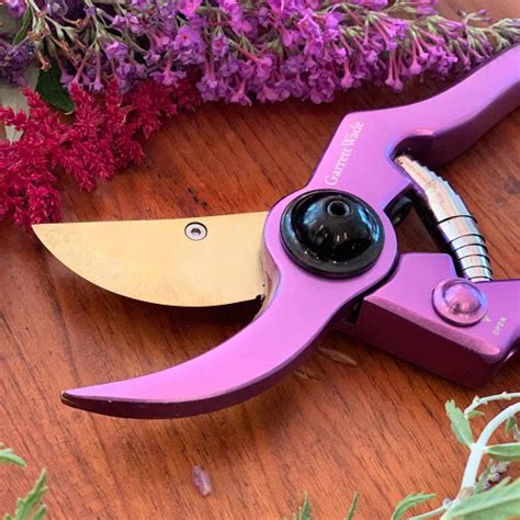 Garrett Wade Ultra Sharp Purple Pruner