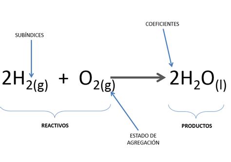 Cuales Son Los Reactivos Y Productos Wenda