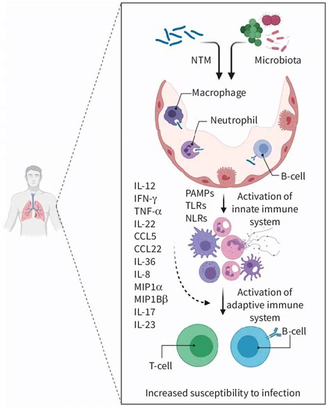 Frontiers Modulating Macrophage Function To Reinforce Host Off