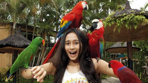 Bali Bird Park Guide: Family-Friendly Adventure Awaits!