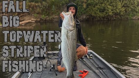 Fall San Joaquin River Striper Fishing Big Topwater Blow Ups