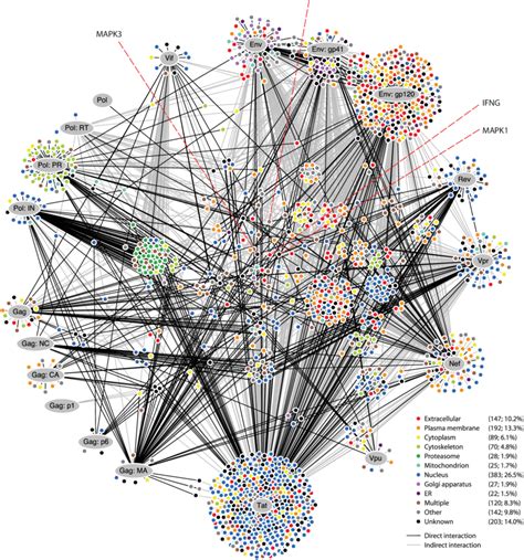 Visualization Of The HIV 1 Human Protein Interaction Network The