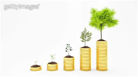 Growing Money Plant On Coins Finance And Investment Concept Isolated