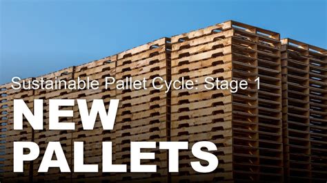 Stage 1 New Pallets Sustainable Pallet Cycle KampsEarthWeek