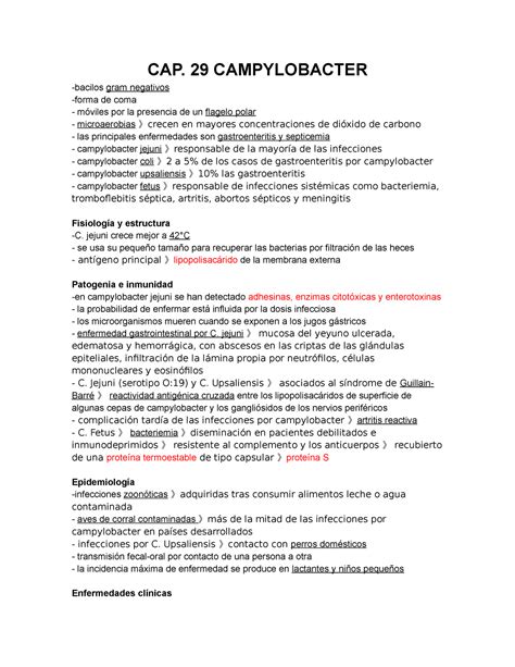 Campylobacter Y Helicobacter CAP 29 CAMPYLOBACTER Gram Negativos De