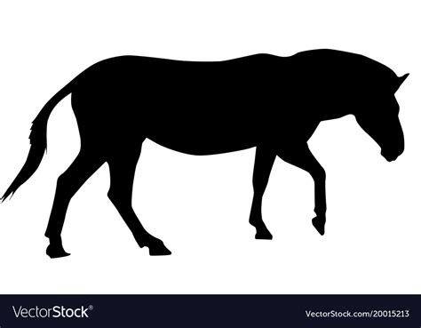 Zebra black silhouette Royalty Free Vector Image