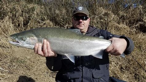 Klamath River Fishing Guide | Ironhead Guide Service