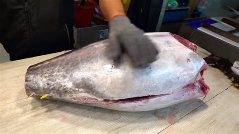 Tuna Fish Cutting Skills Big Tuna Tuna Cutting Skills YouTube