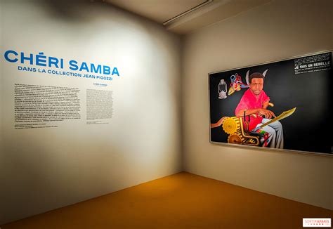 Ch Ri Samba Une Exposition Surr Aliste Et Color E Voir Au Mus E