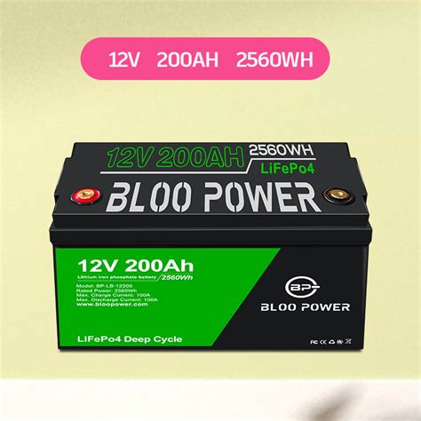 Bloopower 12V 24V 36V 48V 50ah Sealed Rechargeable 3000 Cycles Long