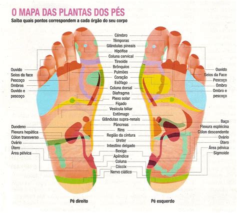 Mapa Das Plantas Dos Pontos Nos Pés Para Massagens