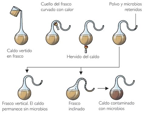 MÉTODO CIENTÍFICO DE LOUIS PASTEUR