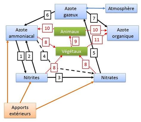 Comprendre et éviter la faim dazote Spotjardin