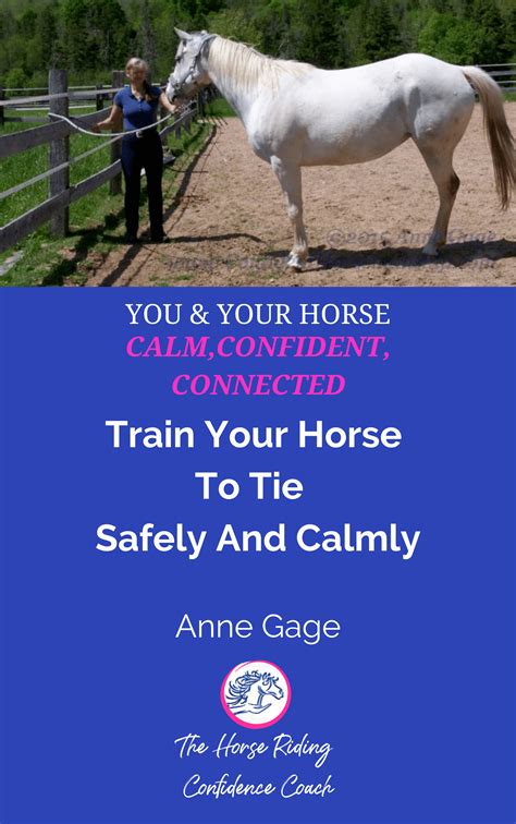 Horse Training Teach Your Horse To Tie Safely And Calmly Part 2