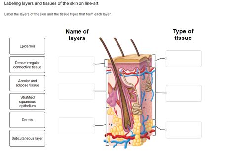 30 Label Of Skin - Labels Design Ideas 2020